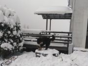 Gospodarstwo Agroturystyczne U Jasia