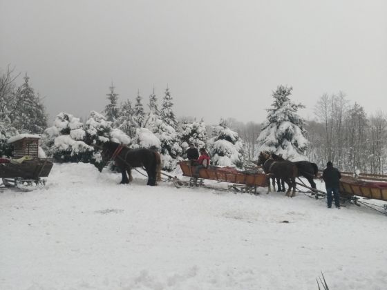 Gospodarstwo Agroturystyczne u Jasia